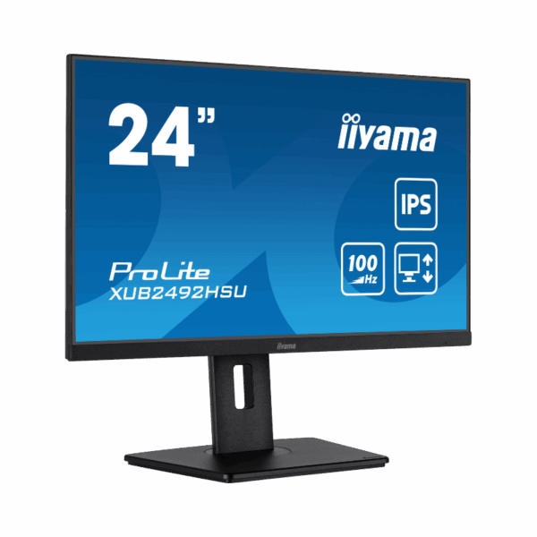 Location Écran iiyama 24" ProLite (XUB-2497HSN-B6)